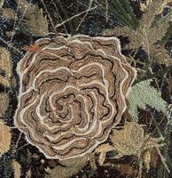 MillerJ_1_Frilled_8x8_embroidery_2023_$600.jpg