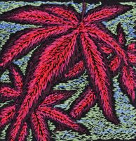 JapaneseMaple.jpg